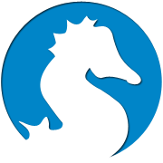 网页端ddos